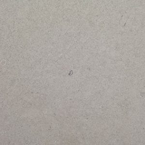 fossil-gray-matte-quartz-300x300 MSISTONE