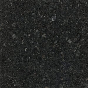 Cambrian Black