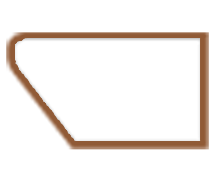 REVERSE BEVEL OR PLATER