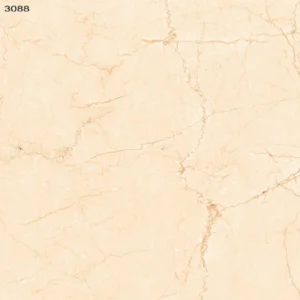 Filito veins