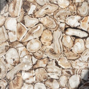 Pebble Stone Beige