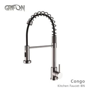 Congo