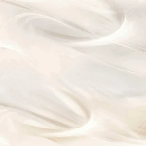 Vivid Dream